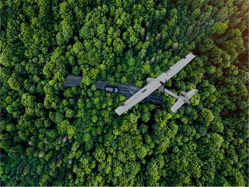 海南森林資源調(diào)查